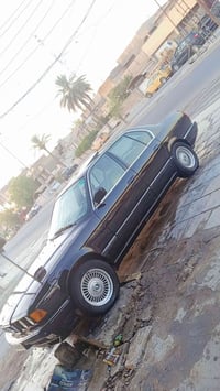 البيع تخم ويل شعاع بدون فطر ولا عواج مكان بياع تقاطع درويش رقم07808179...