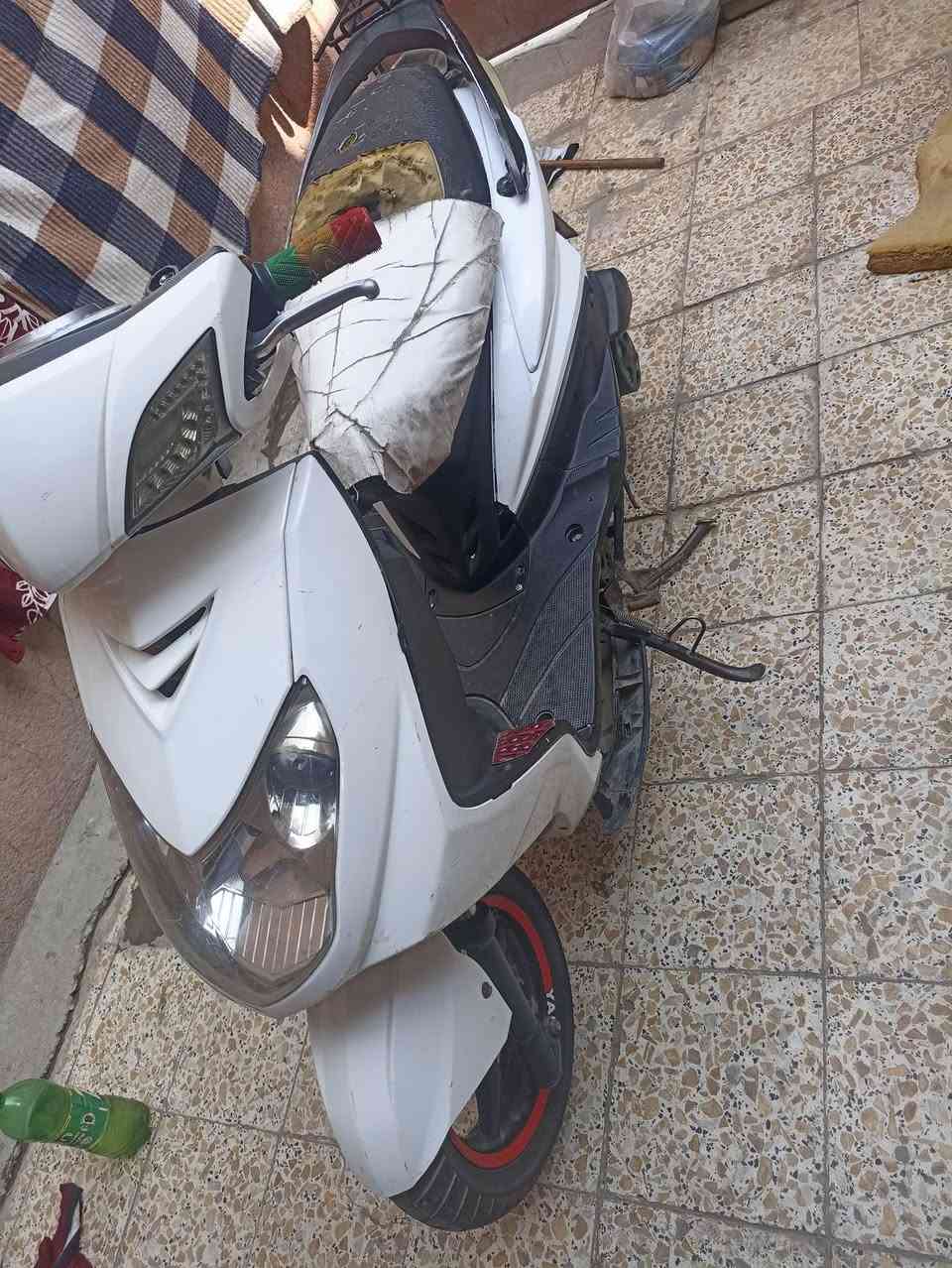 سكنس • شلعه • اوراق