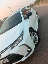 كورلا هايبرد • ٢٠٢٥ • رقم بغداد