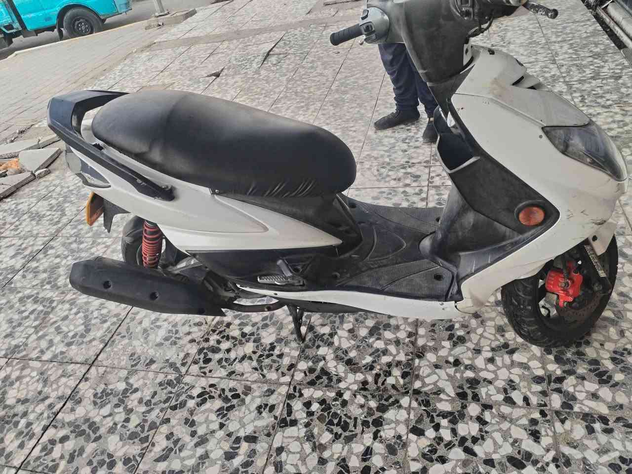 سكنس فحل • خطين • نوزل