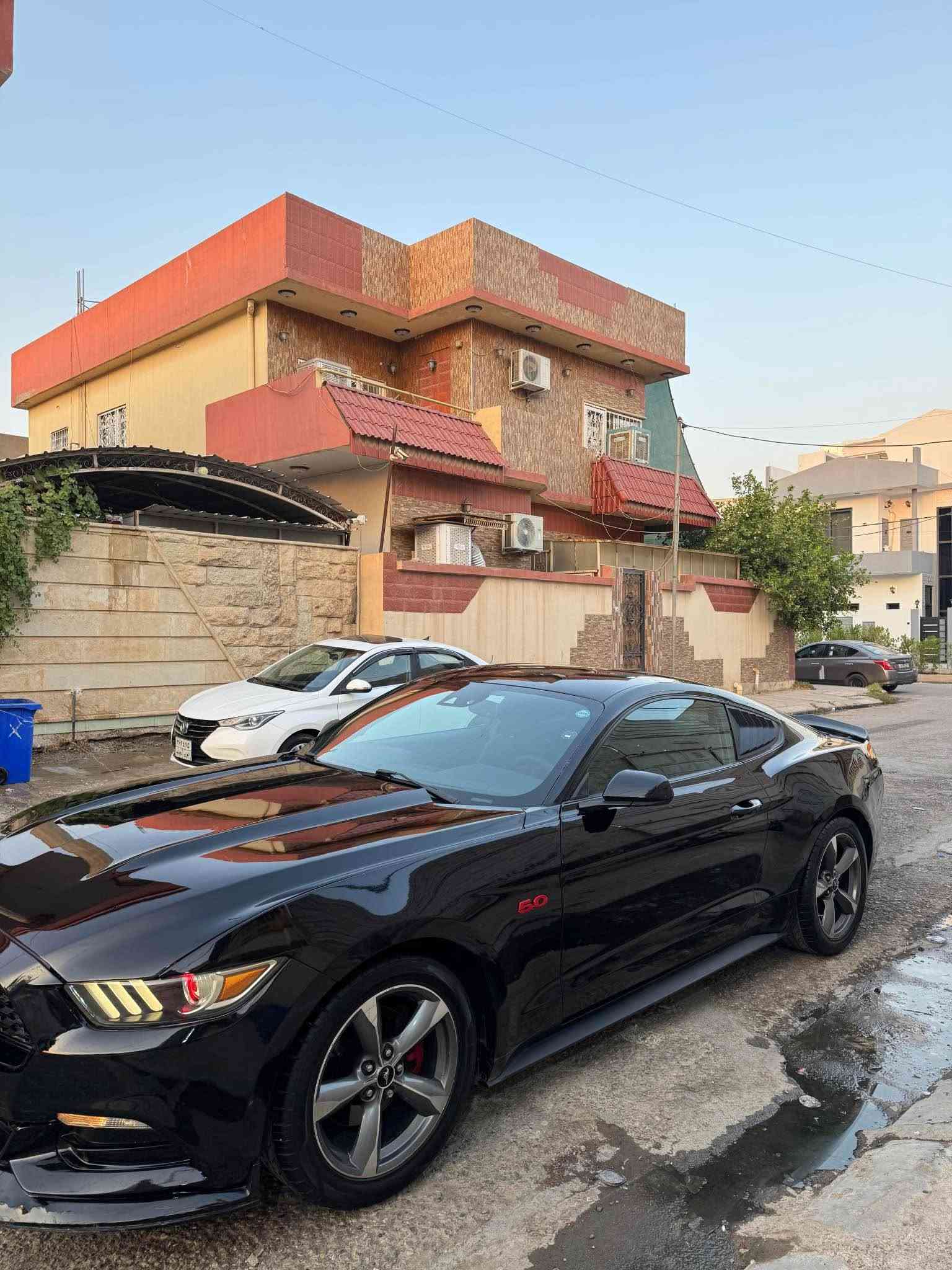 موستنك 2017
6سلندر
گير ومحرك بالشرط برغي مامفتوح وبدون اي خلل
حدادية بشرط
اذان محرك وگير جديد مبدل
تبريد بالشرط
ضرره من امريكا جامرلغ السائق ويا البونيد
البونيد مصلح نفسه بلادي
جامرلغ مبدل تجاري
اهنا صبغناه حزام وعندي صور قبل الصبغ
بدووون دواخل نهائيا
ومامبدل منه اي قطعه
سنوية ورقم جديد
*********** كركوك, العراق

