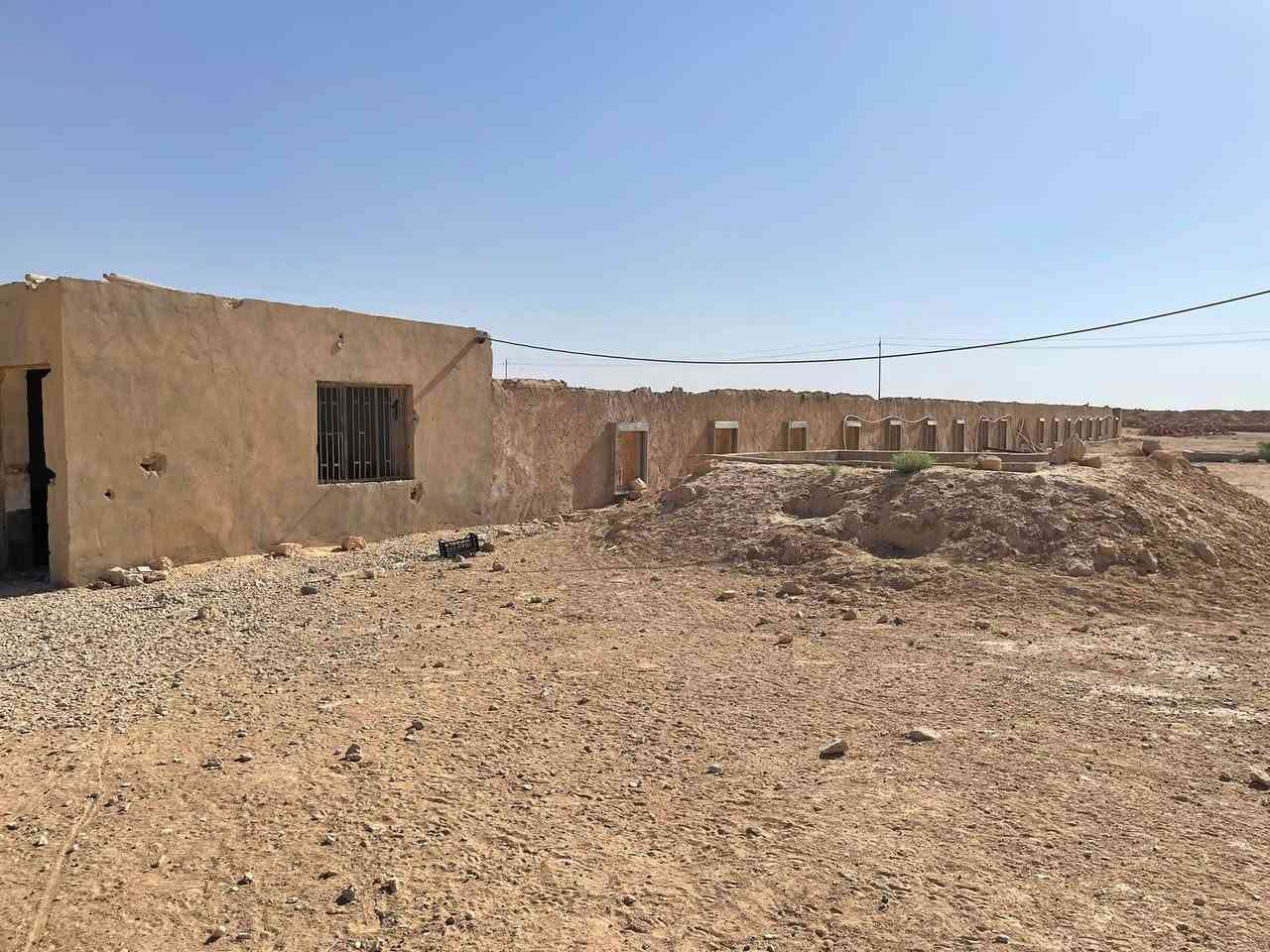 سلام عليكم 
لعدم التفرغ و لمن لديه الخبرة في هذا المجال 
حقل دواجن بعده ما كامل اريد ااجرة على وضعية و المصاريف تخصم من الايجار الحقل قريب جداً من المدينة خدمات كاملة من ماء و كهرباء الموقع قرب بانزين خانة حجلان و قرب سيطرة دخول حديثة الرئيسية مساحته الكلية ٧٠ طول و ٨ عرض غراضة كاملة من مفرغات و هيترات و معالف و كاسات ماء و اي مصاريف توضع يتم الاتفاق عليها ان شاء الله 
للاستفسار اكثر اتصل بالرقم ***********
