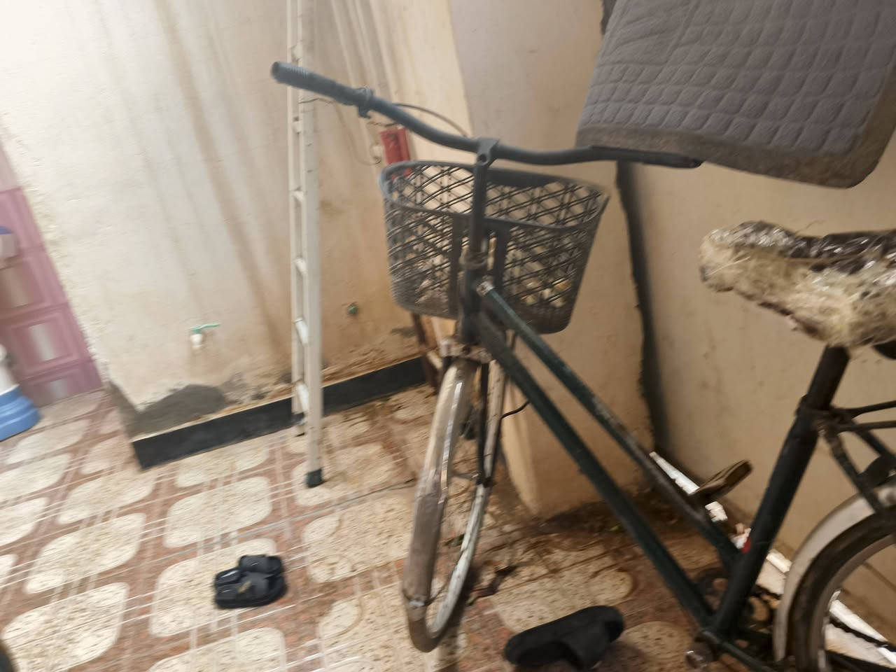 بايسكل • زيتوني • للبيع