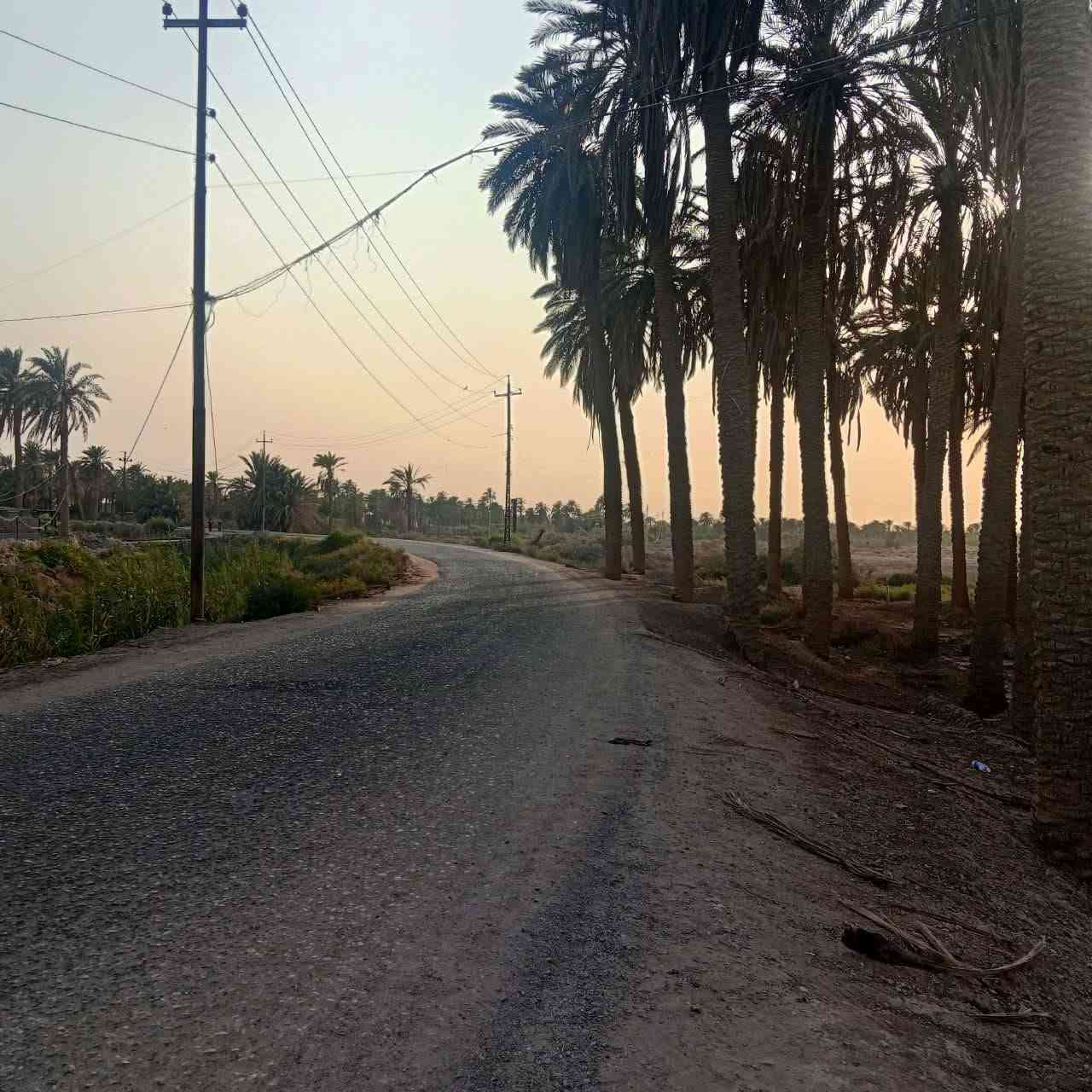 ارض زراعيه • ٢١٥٠م • شط الكسر