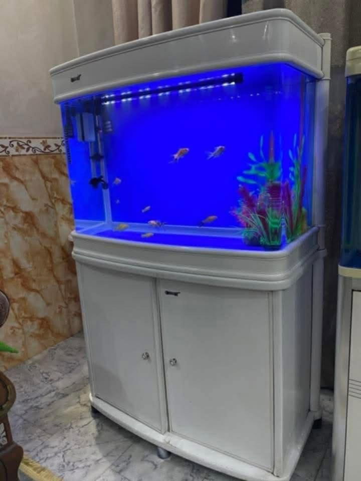 حوض سمك للبيع القياسه ٨٠سم مع محتوياته السعر ٢٥٠ألف الموقع نجف الموبايل ***********واتساب شراي يتصل معه محتوياته اجهزته مال الحوض
