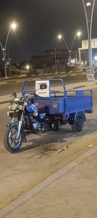 ستوته • مديل ٢٠٢٣ • اوراق وكيل