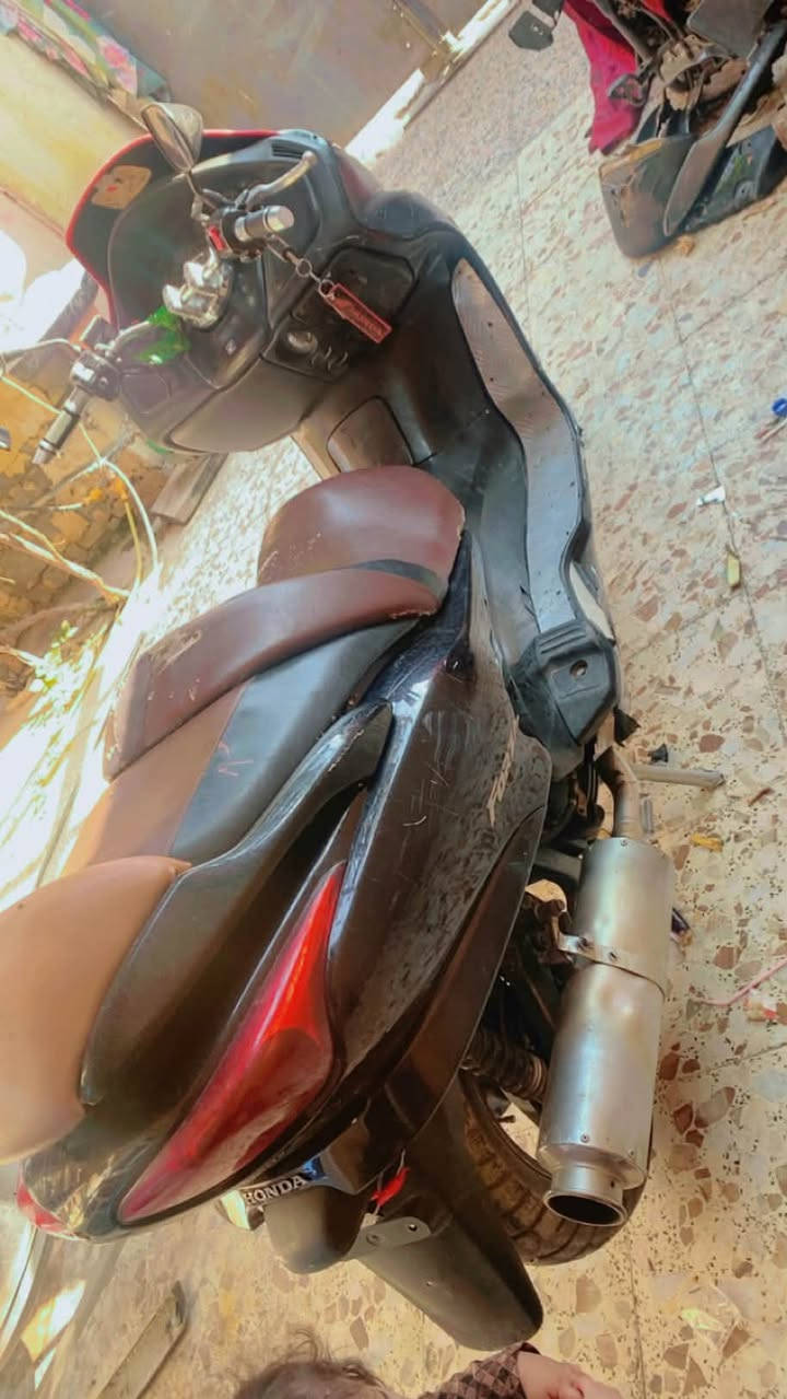 فورزة • صوت خشن • بدون اوراق