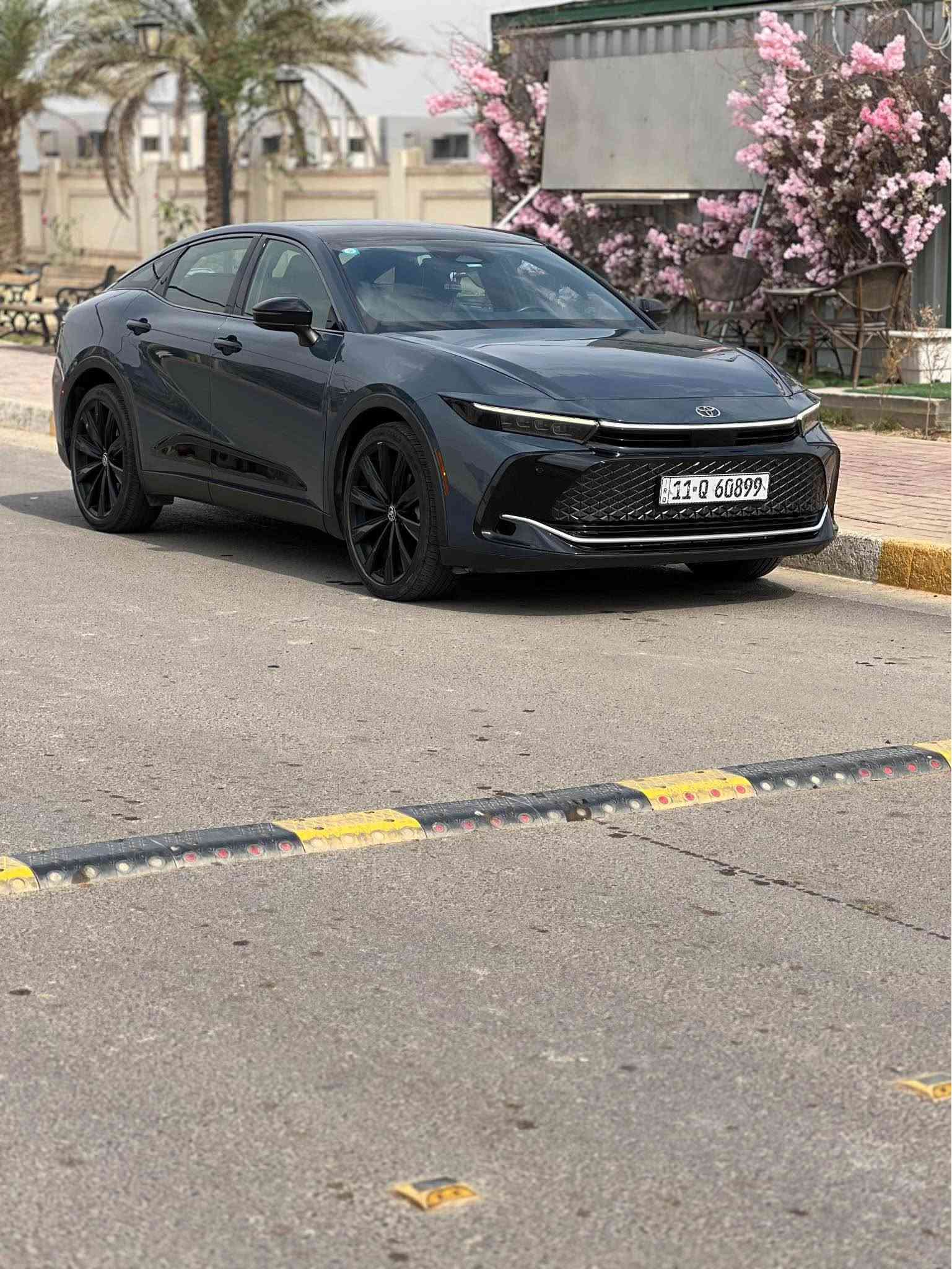كراون نايتشيد • ٢٠٢٥ • رقم بغداد