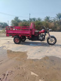 ستوته • أوراق • ٢٠٢٠