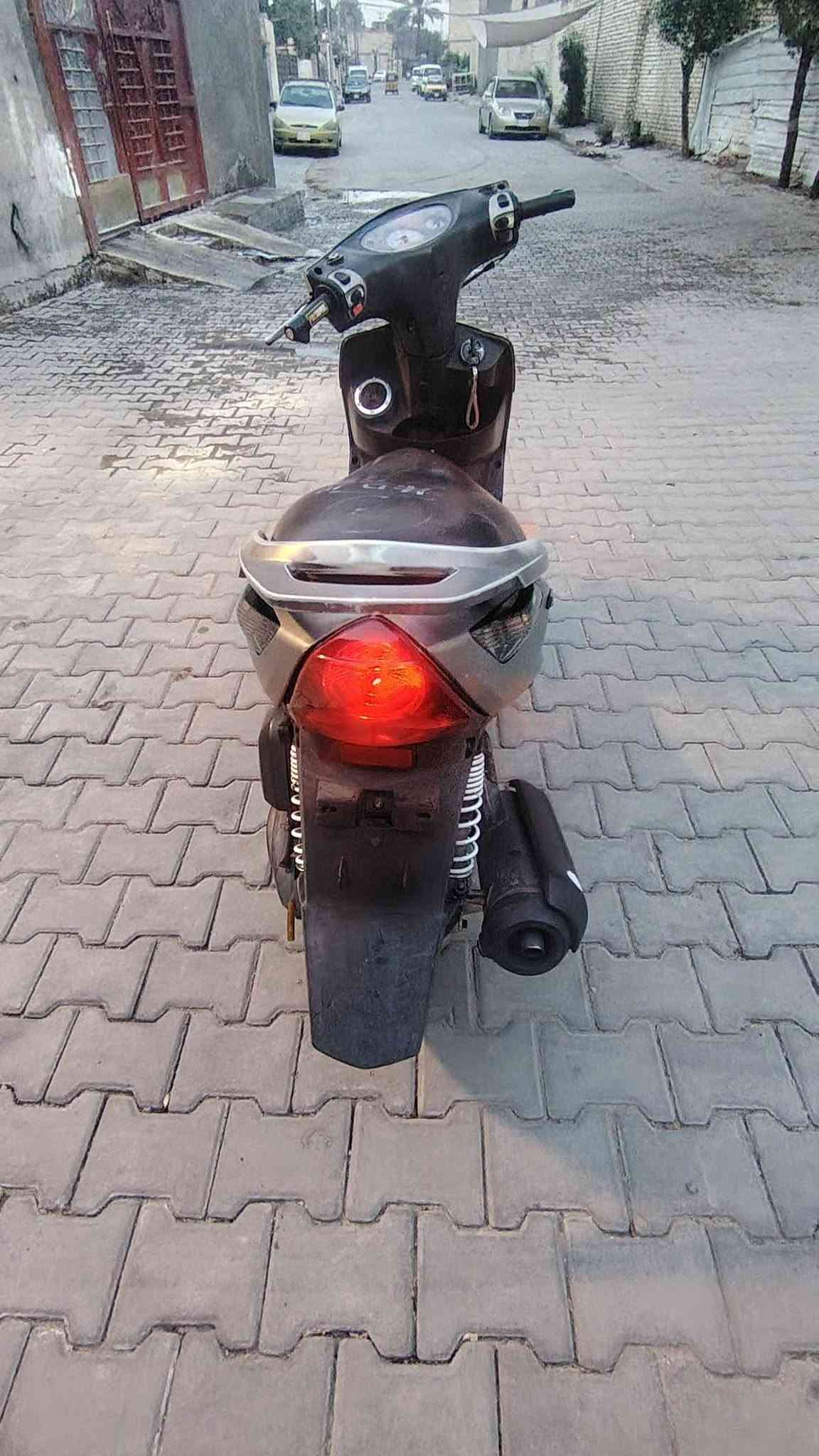 ثعلب نوزل • بلاديه • خرسه