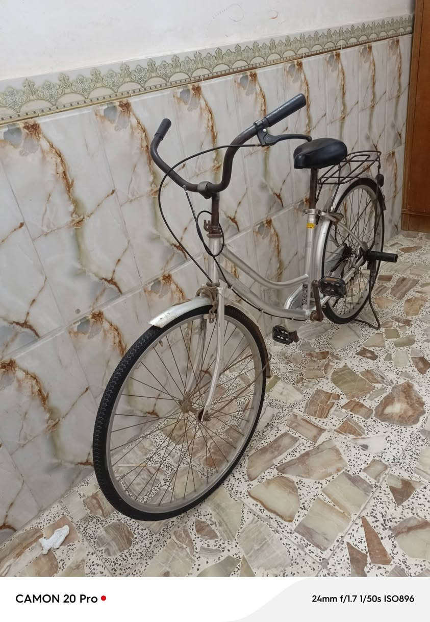 السلام عليكم باسكل للبيع في النجف الأشرف باسكل حلو مال روحه وجيه للبيع وهاذا رقني ***********
