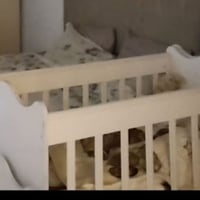 مرجوحه اطفال • شبه جديد
