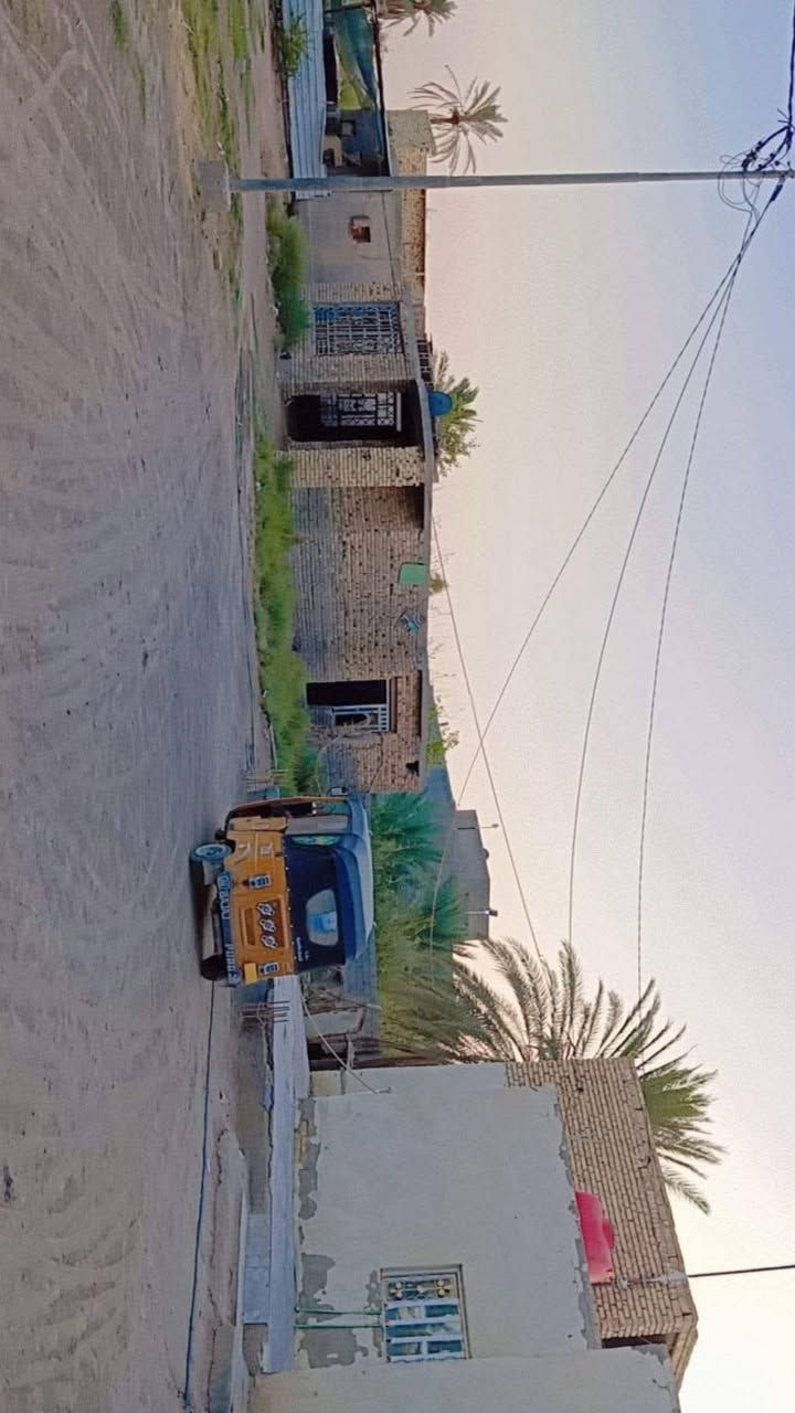 بابل الحمزة الغربي • ٢ دونم • طابو زراعي