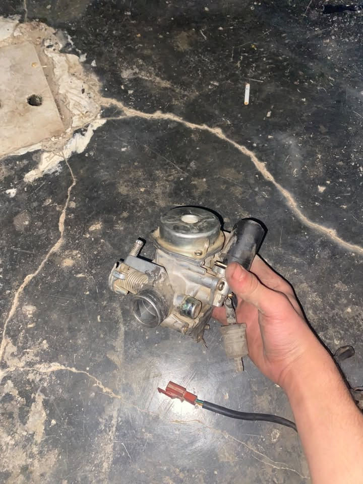 ماكس • تفصيخ • بكلات