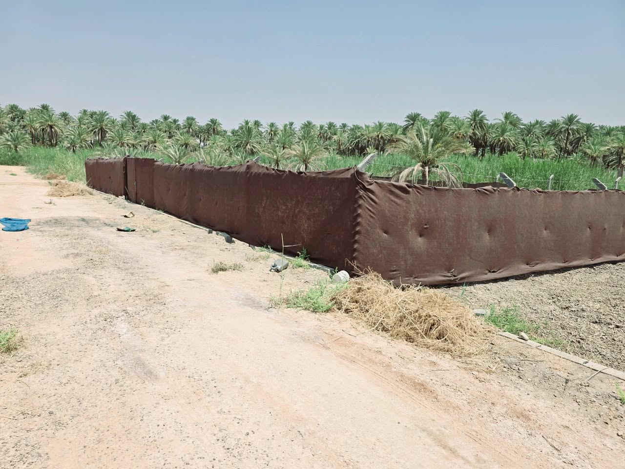 يالله أللهم صل على محمد وآل محمد) 

للبيع قطعة مساحة 625 متر 

طابو زراعي سند 25  تحويل أقرار محكمة 

تتوفر كافة الخدمات تبعد عن التبليط 100 متر 

تصلح سكن 

العنوان كربلاء الحسينية مصطفئ خان وتدخل بشارع تبليط 

كيلو ونص والها مدخل ثاني من شارع بغداد 

تبعد عن شارع بغداد 2 كيلو وعن شارع الحسينية كيلو ونص 

وعن مركز المدينة 9 كيلو 

#السعر    70  مليون 

للاستفسار اكثر اتصلوا بالأرقام التالية 

(  ***********  )(  ***********  )

ابو فاطمة او مراجعة مكتب 🏢 النافعي للعقارات -كربلاء 
مكتب النافعي للعقارات كربلاء النافعي للعقار  
عنوان المكتب شارع الحسينية قرب جسر 🌉 الابراهيمية مقابل شارع عون عل سايد الخدمي @إشارة 

(  ***********  )( *********** )

