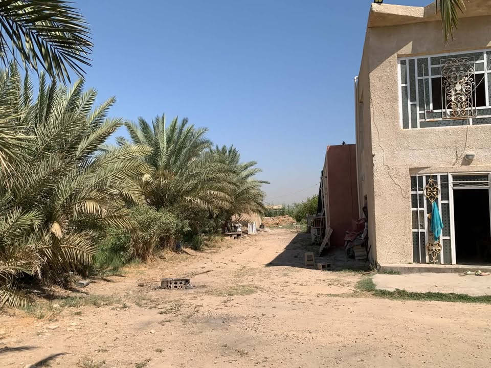 للبيع.. السلام عليكم ارض زراعيه 4 دونم مع بيت كبير ومشتمل  . جنس الأرض 117 مع شارع خاص للأرض فقط . الأرض محدده ب٣ نهران . . موقع الأرض بابل منطقه الطاهريه تبعد عن شارع حله بغداد ٢ كيلو 

*********** واتساب 

***********

