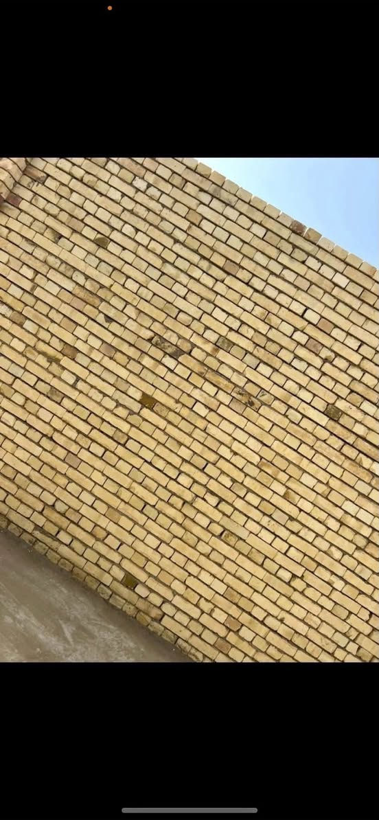 حياكم الله
كادر بناء متكون من ٣ خلفات دقه بل عمل سرعه بل انجاز شغل نضيف ودرجه اولى شغل كله مساطر وكبان وخيط وشاهول وزن مضبوط تنضيف البيت التزام بل كلام سعار مناسبه استفسار اكثر ***********
