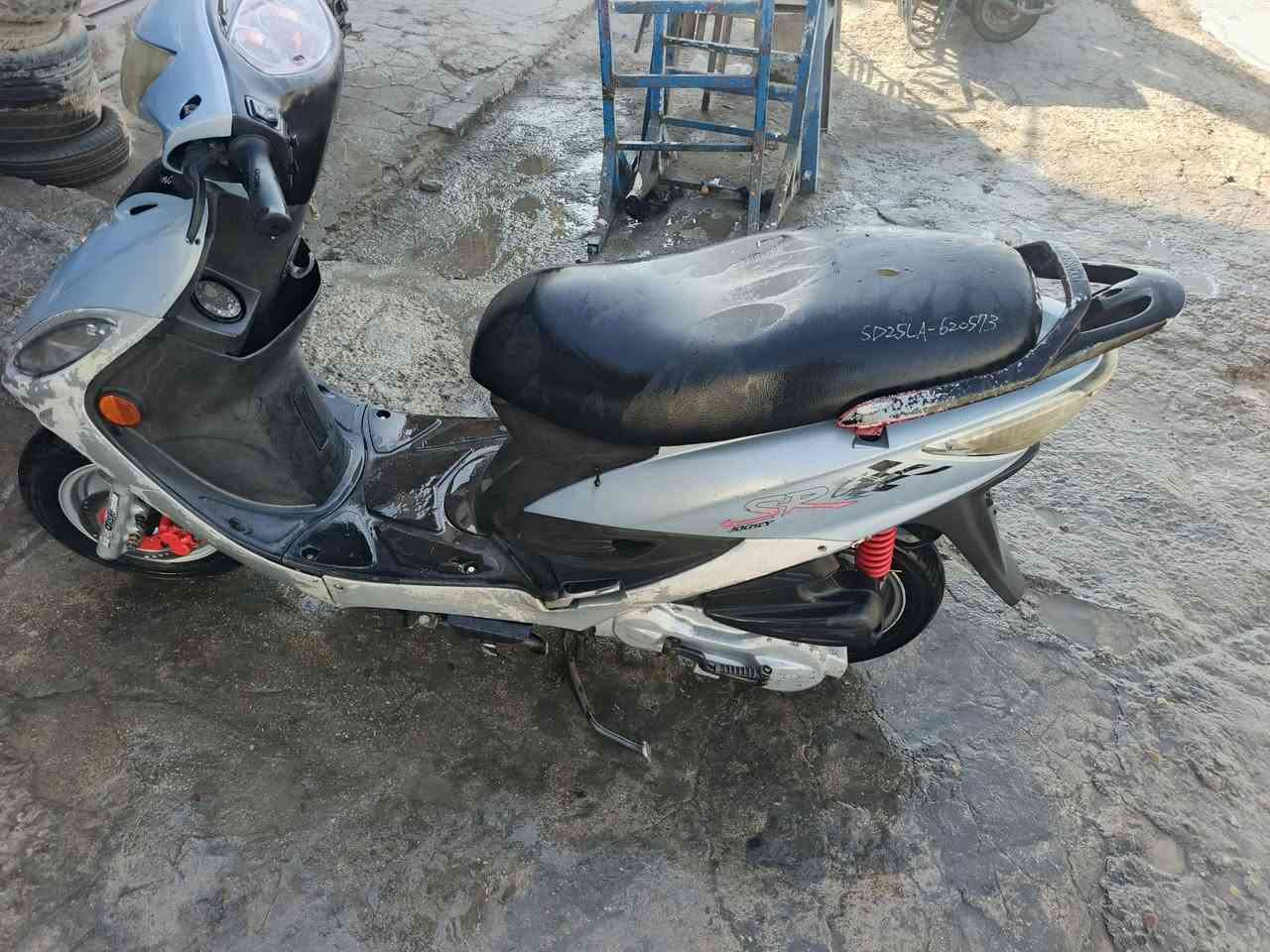 دراجه • للبيع • نجف