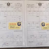 النجف الاشرف • حي النور • قطعتين ٦٠٠م