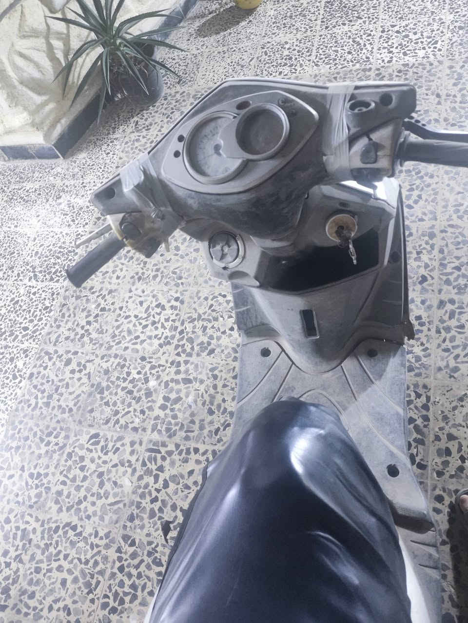سكنس فحل • كوم حديد • مجال