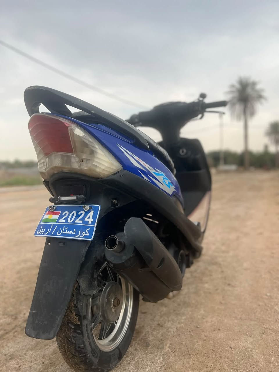 ماكس عدله • دبلات رياضي • كفاله عامه