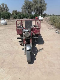 سوته • بدون مكفوله • بابل