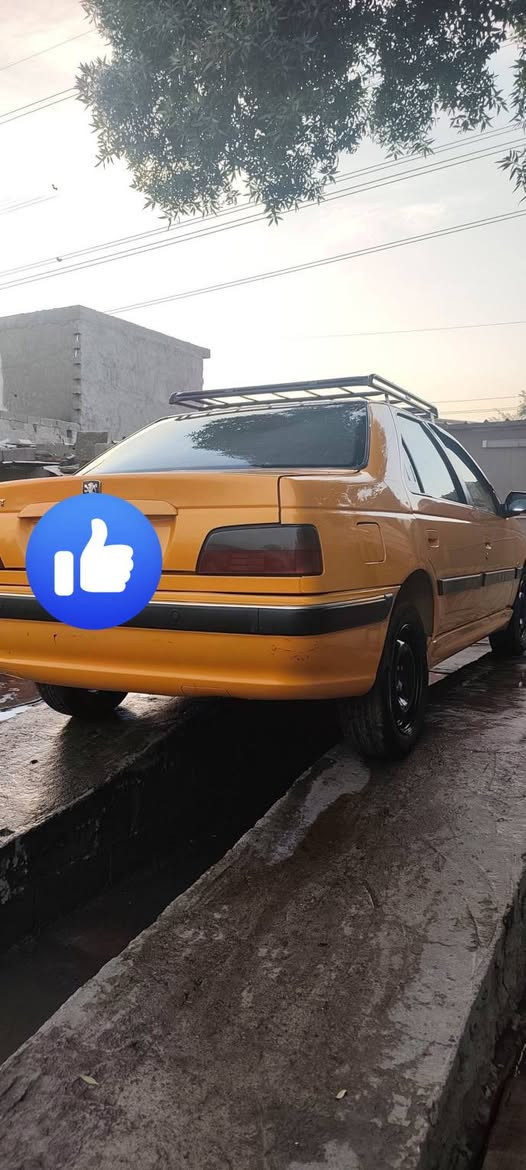 بيجو بارس • ٢٠٢٤ • مكفولة