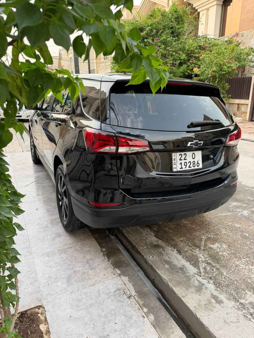 ايكونيكس ٢٠٢٤ • بدون صبغ • رقم اربيل