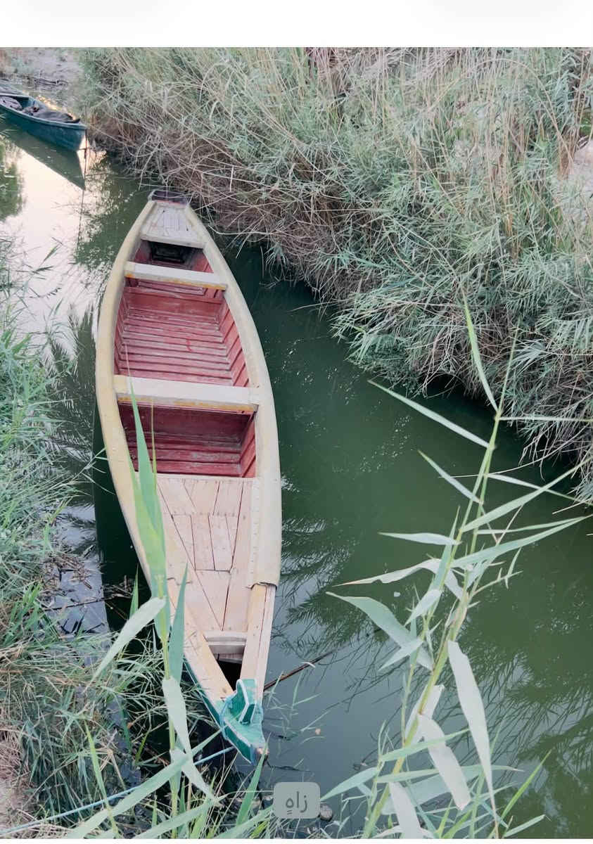 بلم • نضيف كلش • زاه