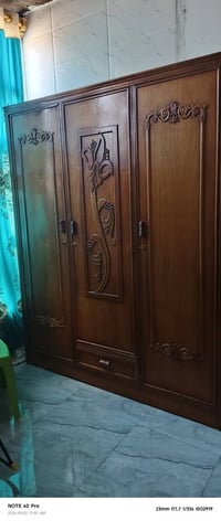 كنتور • جربايه طفل • جربايه كبيره