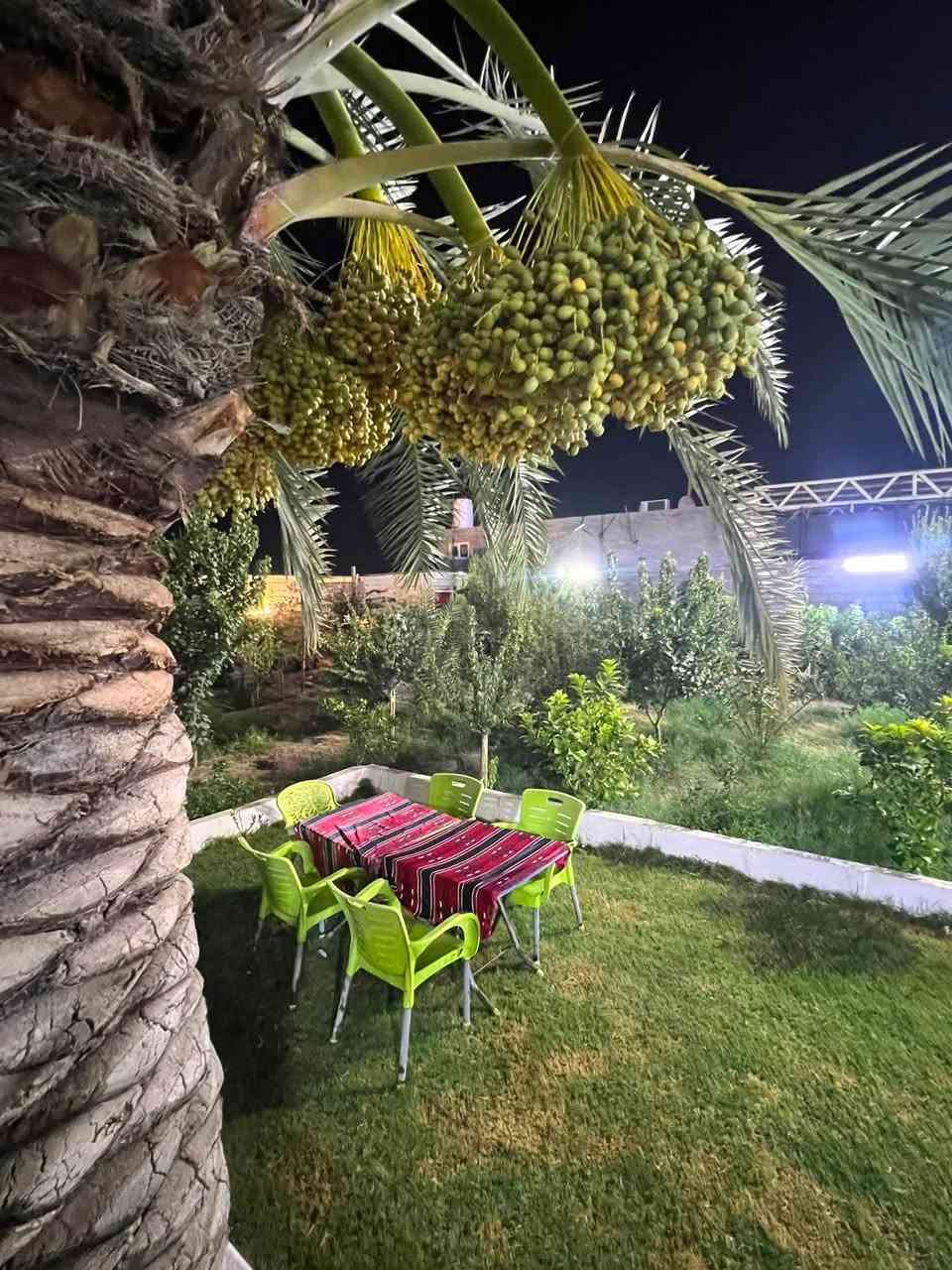 عرض خاص لمده اسبوع فقط 🌲🌴للاستفسار اتصال ***********
