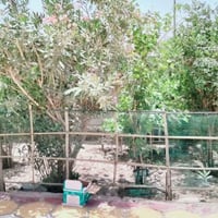 دار زراعي • ٤٠٠م • طابو