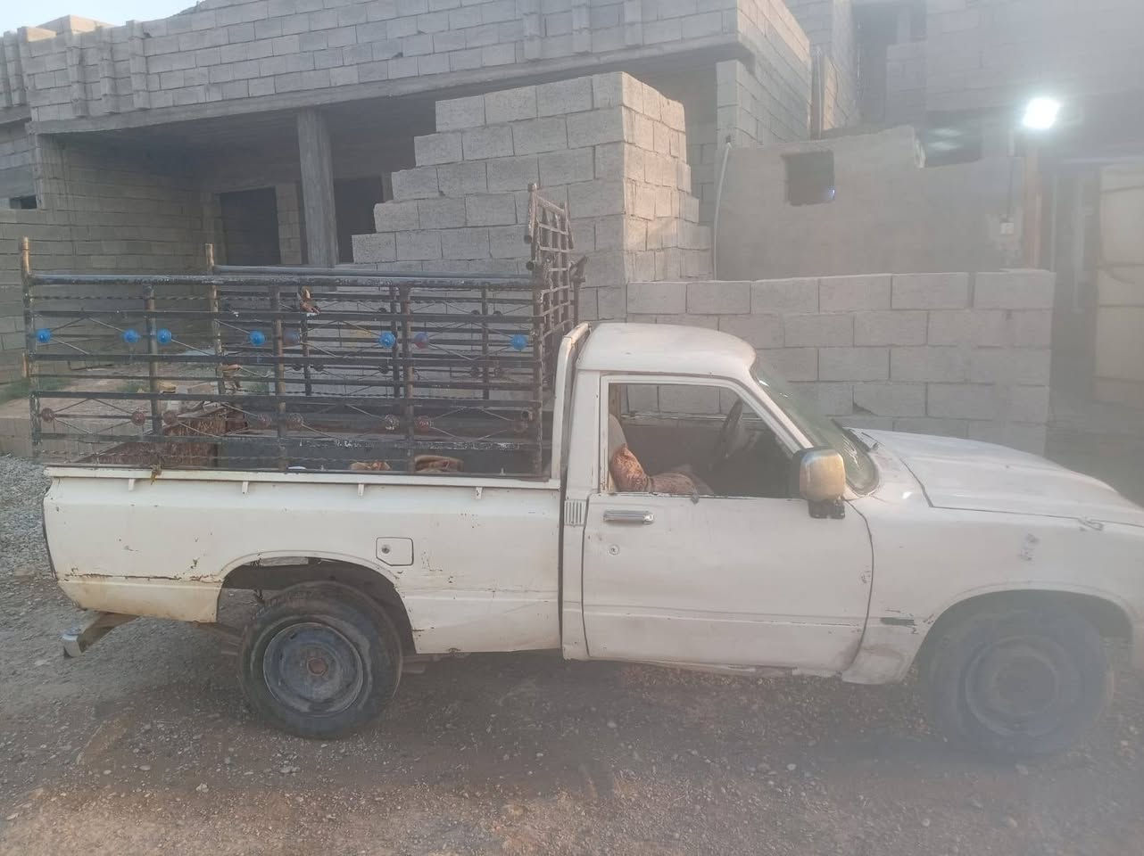سيارة ٨٠ صاحبها موجود محرك وكير وشاصي حيل نظيفات وشرط تحويل السعر ١٤ َورقه وبيها مجال قليل ***********
