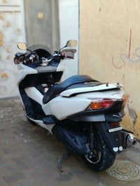 فورزه 010 • ٧ نمر • زنون اوسروم