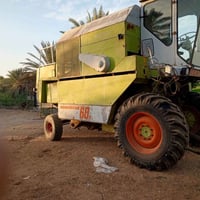 حاصوده 98 • نجف مشخاب