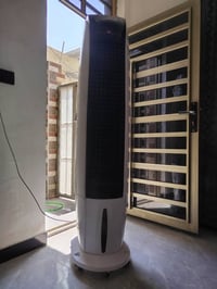كونفيرا • حجم كبير • جديدة بكارتونتها
