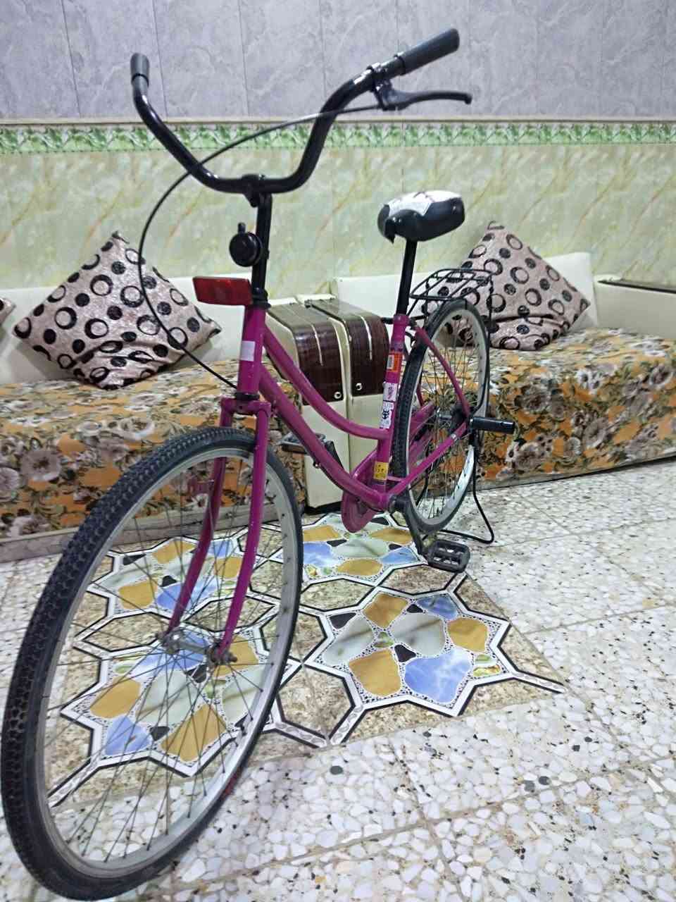 بايسكل • حجم ٢٦ • نضيف