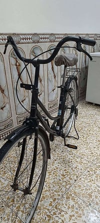 باسكل • للبيع