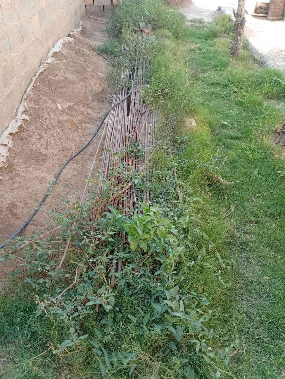 السلام عليكم ورحمة الله وبركاته العفو شيش للبيع الطول ١٢مترابو١٥/١٦شيش تركي والاتاري ٣٥شيش عراقي رقم الهاتف ***********ديالى خان بني سعد
