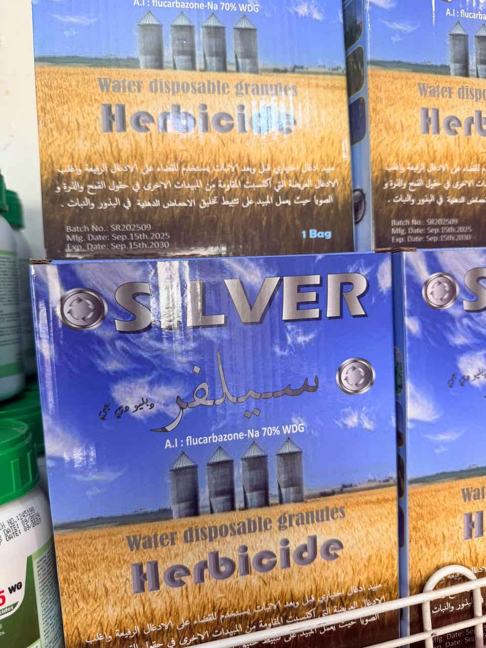 بذور حنطة • باير ألماني • أنواع متعددة