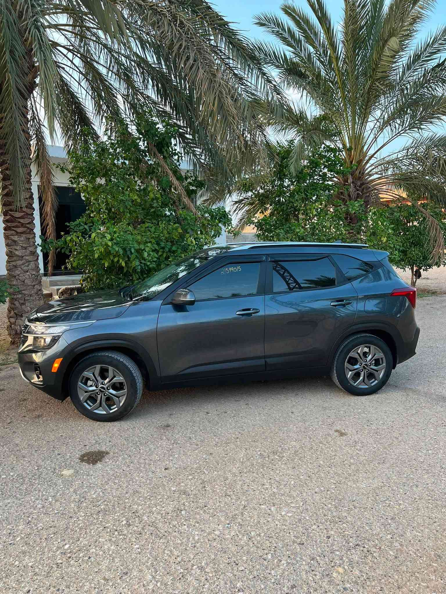 سيلتوس ٢٠٢٦ • فيراني • ماشية ٤٠٠٠