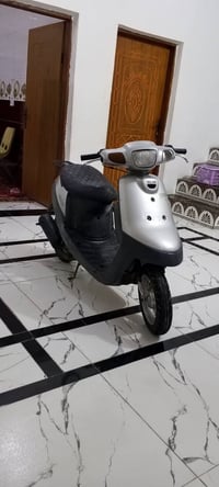 فحل • مامفتوحه • نظيفه