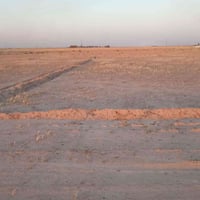 ٩٥٠م زراعي • واجهة ١٦م • عالسايدين تجاري