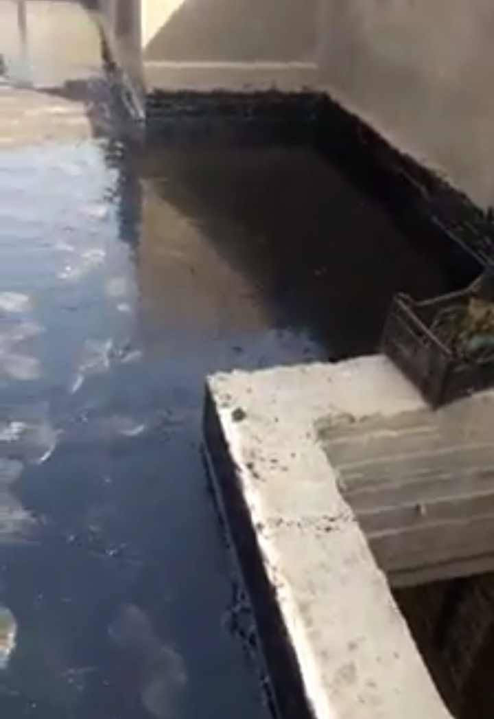 براميل زفت • درجة أولى