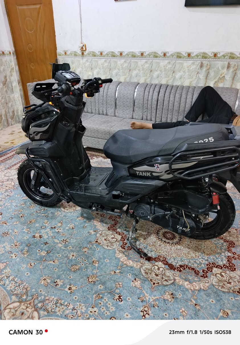جبلي • كفاله عامه • نجف