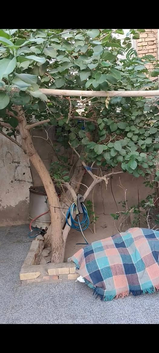 السلام عليكم دار للبيع في حي الشهداء
يقع البيت ع ساحه قرب السريع بيت كله طابوك بس القاطع الثاني 
فرمستون مساحة البيت 200متر بيت مرمرم جديد صالح لسكن 
حديقه داخليه و خارجيه بيت كله سيراميك *********** سعر خاص
