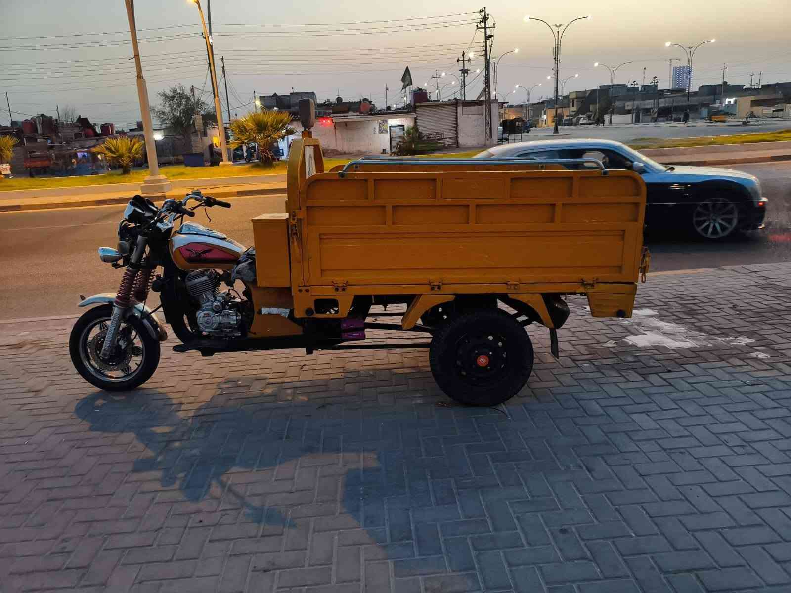 ستوته جمره • فحل • موديل ٢١
