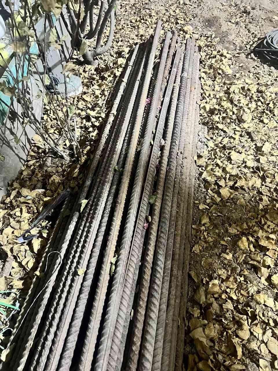 شيش ابو انج طول مترين العدد85+خشب طول مترين عدد15.
رقم ***********
