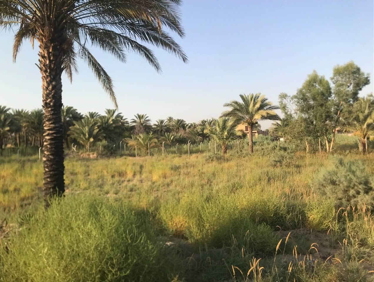 السلام عليكم توجد قطعة ارض للبيع تحويل بسم المشتري المساحه الكليه 1800 متر  الموقع السياحي تبعد عن شارع الرئيسي 75 متر عرض الطريق 5 متر صافي ترهم تجاريه مخزن وماشابه ذالك وتهرهم سكن الموقع السياحي منطقة فنهرة 
للاستفسار اكثر الاتصال ع الارقام التاليه 
***********
***********
