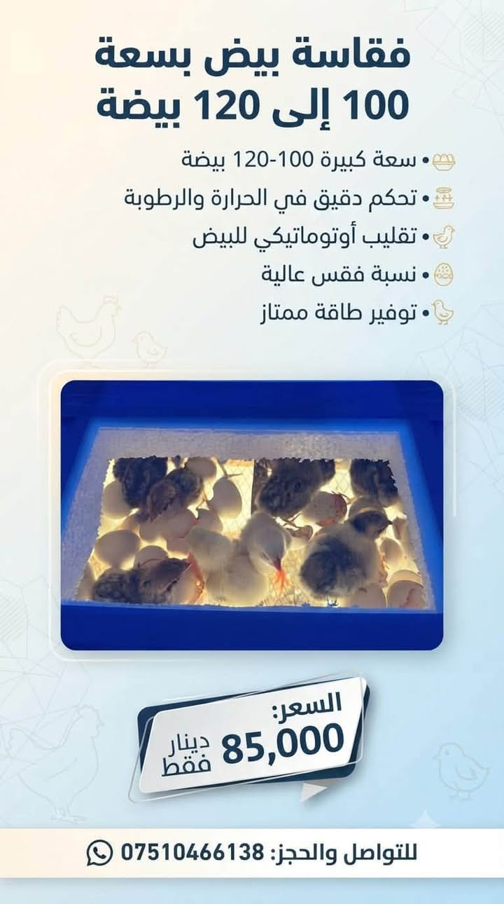 🐣🔥 فقاسة بيض بسعة 100 إلى 120 بيضة 🔥🐤
💡 تشتغل بربع أمبير ⚡ 🔋 تشتغل على اليو بي إس والعاكسة والبطارية ✅ 🥚 سعة الفقاسة من 100 إلى 120 بيضة 🚚 توصيل مجاني إلى جميع المحافظات 🇮🇶
💰 السعر: 85,000 دينار فقط 🔥
🐤 نبقى وياكم خطوة بخطوة لحد ما يكتمل التفقيس ❤️ 📦 دعم ومتابعة حتى تحصل أفضل نتائج بالتفقيس ✅
📩 للطلب والتثبيت: أرسل رقمك وعنوانك على الخاص 📲
🔥 لا تفوّت الفرصة، وابدأ مشروعك بتفقيس البيض من البيت! 🐣💰
#فقاسة_بيض #فقاسات #تفقيس_البيض #مشروع_من_البيت #مشاريع_صغيرة #بيض_دجاج #تربية_الدواجن #العراق

نص مكتوب في الصور:
- فقاسة بيض بسعة 100 إلى 120 بيضة تحكم دقيق في الحرارة والرطوبة تقليب تلقائي للبيض مناسبة لجميع أنواع البيض كفاءة عالية في الفقس السعر 85,000 دينار فقط للطلب والاستفسار ***********
- فقاسة بيض بسعة 100 إلى 120 بيضة
- • سعة كبيرة 100-120 بيضة
- • تحكم دقيق في الحرارة والرطوبة
- • تقليب أوتوماتيكي للبيض
- • نسبة فقس عالية
- • توفير طاقة ممتاز
- السعر:
- 85,000 دينار فقط
- للتواصل والحجز: ***********
- فقاسة عملية وموثوقة
- سعة التخزين 120 بيضة
- تأخذ ربع أمبير (0.25 أمبير)
- تشتغل على USB
- سعر الفقاسة 85.000 دينار عراقي
- توصيل مجاني لجميع المحافظات